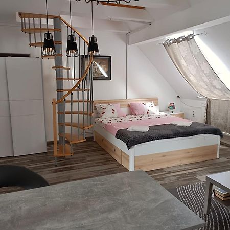 Pension Donaublick Grein 2 In Stifterstrasse 19A Экстерьер фото
