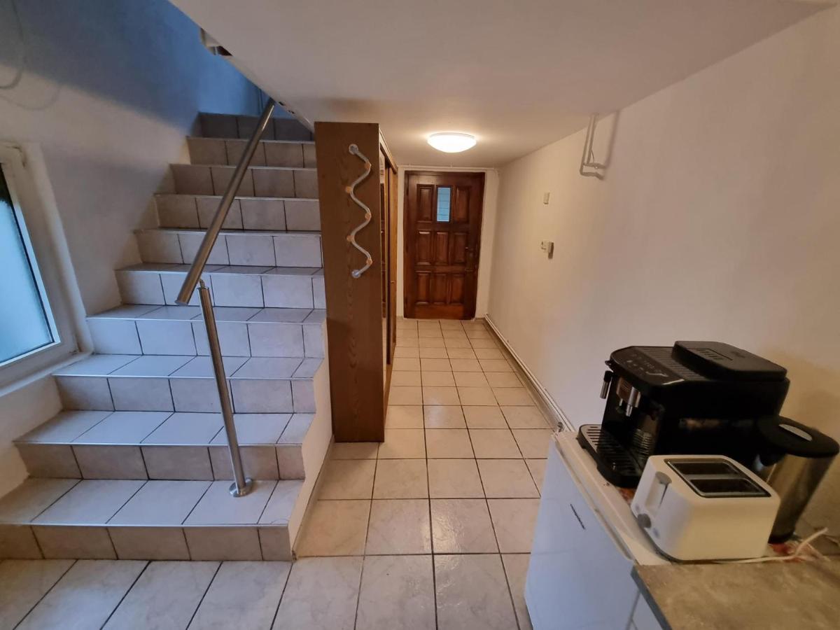 Pension Donaublick Grein 2 In Stifterstrasse 19A Экстерьер фото