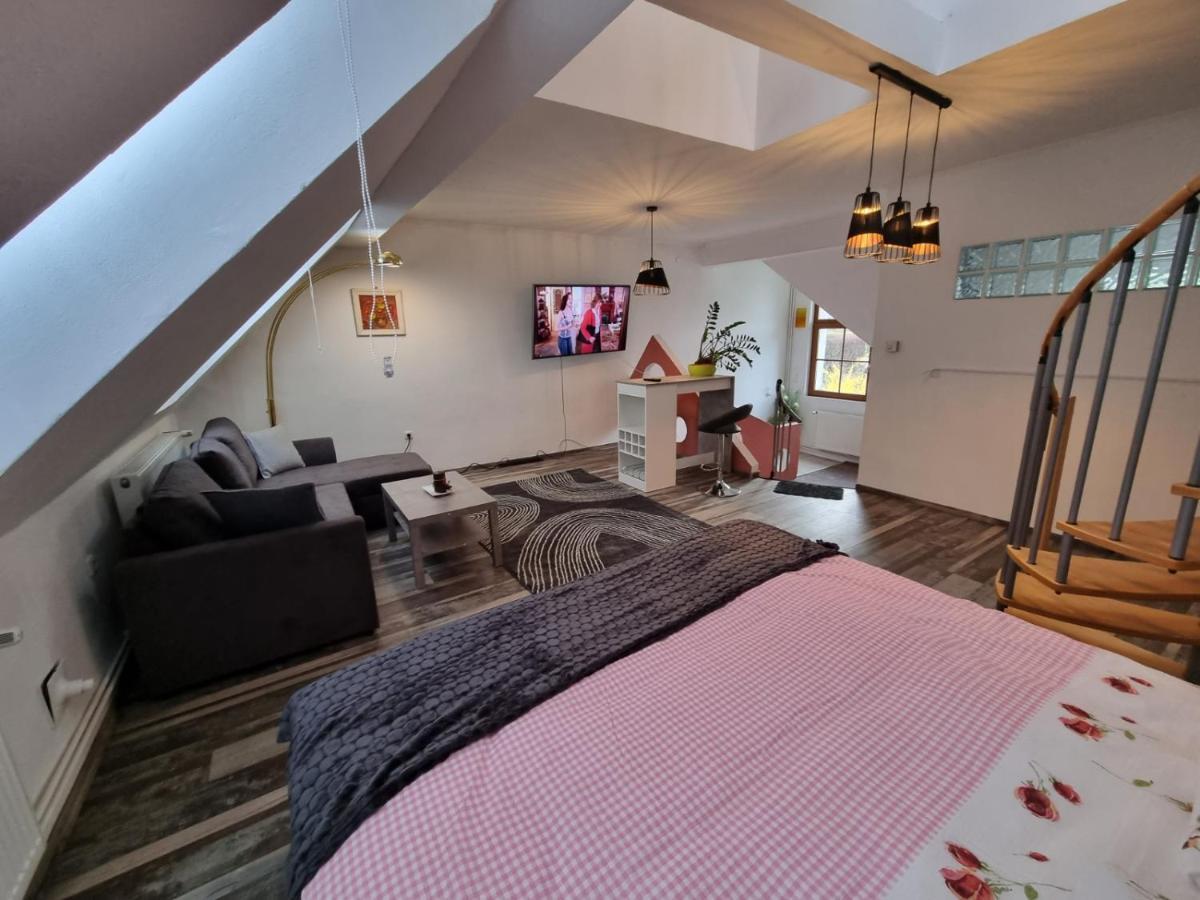 Pension Donaublick Grein 2 In Stifterstrasse 19A Экстерьер фото