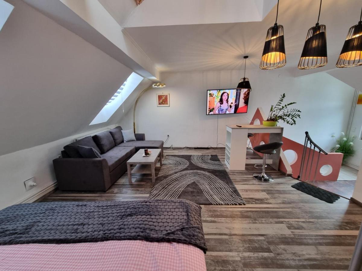 Pension Donaublick Grein 2 In Stifterstrasse 19A Экстерьер фото