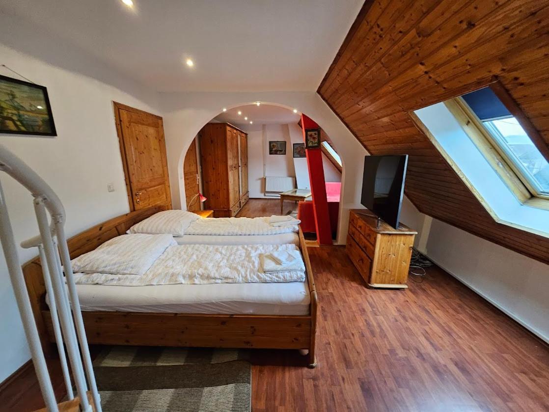 Pension Donaublick Grein 2 In Stifterstrasse 19A Экстерьер фото